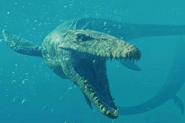 Contrary to popular opinion, a Mosasaur is not a marine dinosaur.